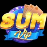 SUMVIP games Profile Picture