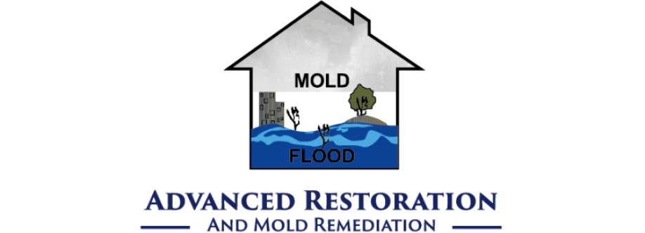 Advanced Restoration and Mold Cover Image