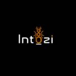 Intozi Tech Pvt Ltd Profile Picture