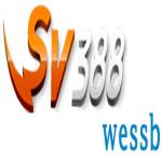 sv388wessb Profile Picture