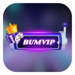 BUMVIP Profile Picture