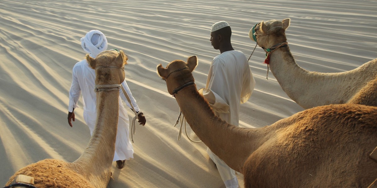 Camel Racing in Qatar: A Journey Through Tradition and Innovation