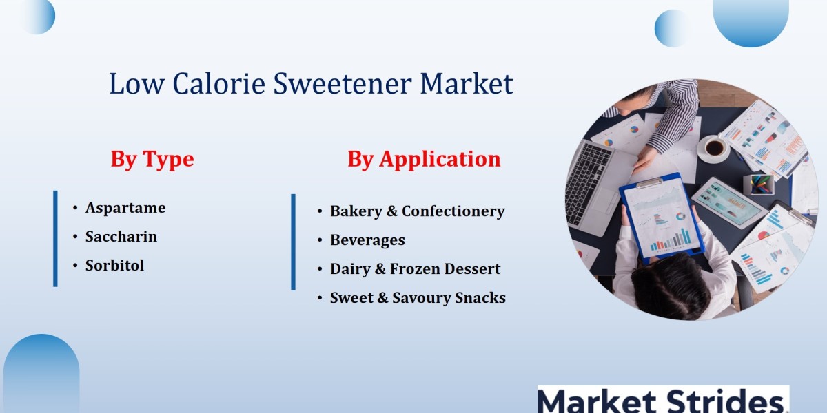 Low Calorie Sweetener Market Industry Report 2025-2033: Future Trends and Growth Analysis