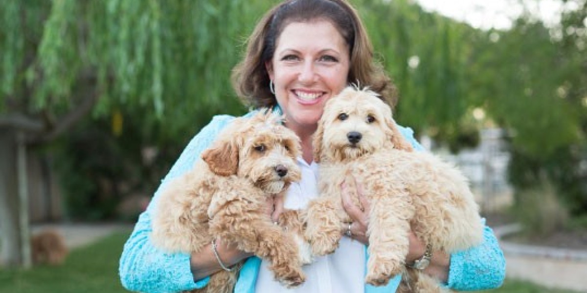 Trained Therapy Dogs for Sale at Aly’s Puppy Boot Camp