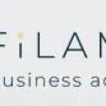 Filament Business Advisors Profile Picture