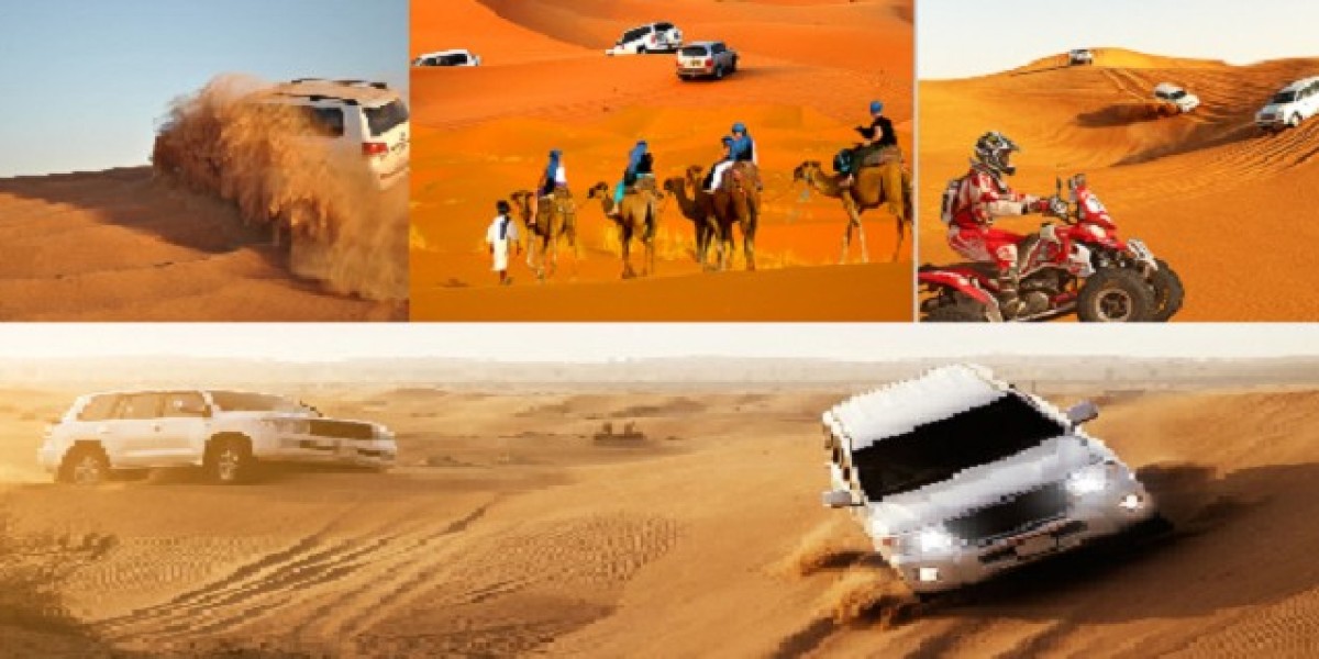 Private Abu Dhabi Tours: See It All Your Way