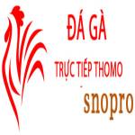 dagasnopro Profile Picture