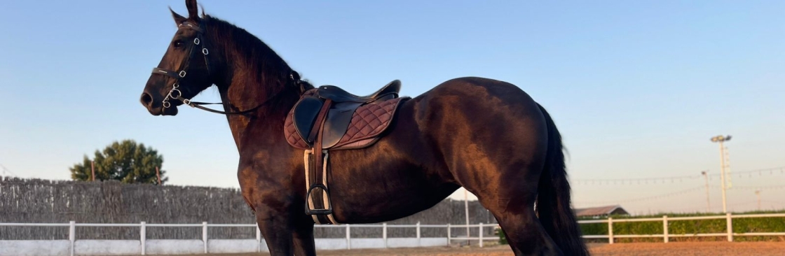 Al Madam Equestrian Club Cover Image