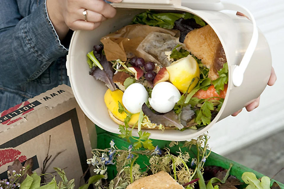 Newcastle’s Push Toward Sustainable Food Waste Recycling: What You Need to Know - Click To Write