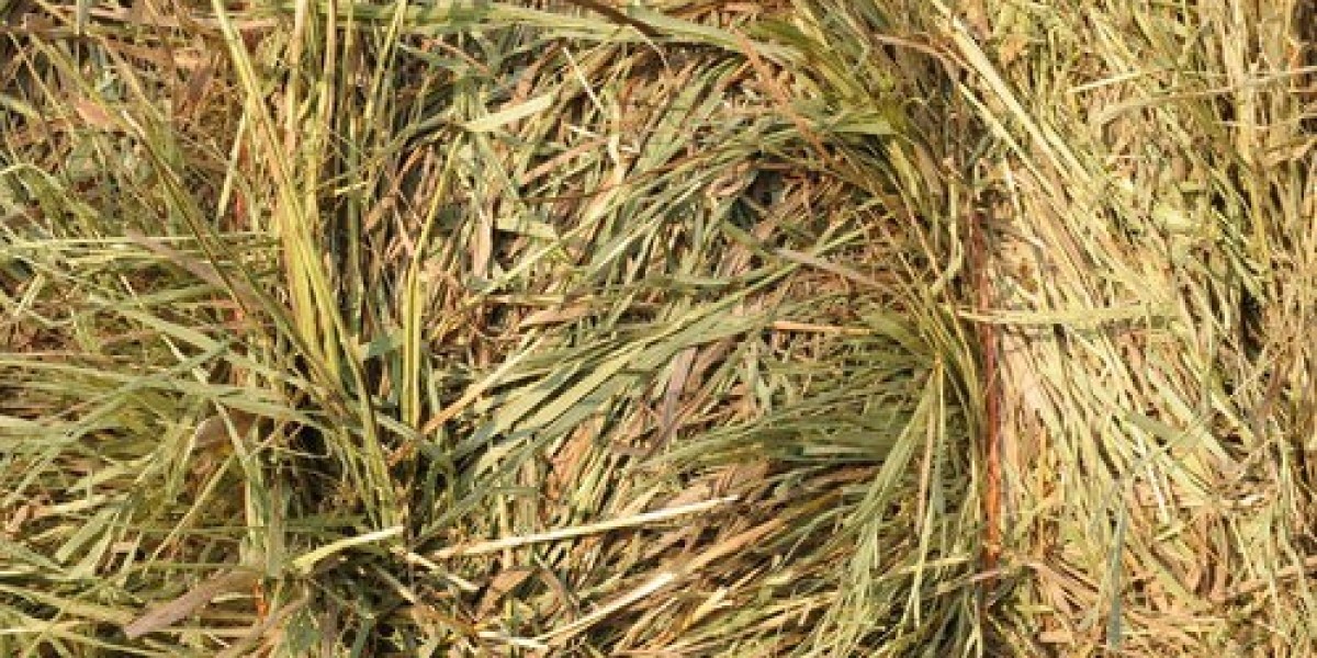 Hay Stacks for Sale – Your Trusted Source for Premium Hay Bales