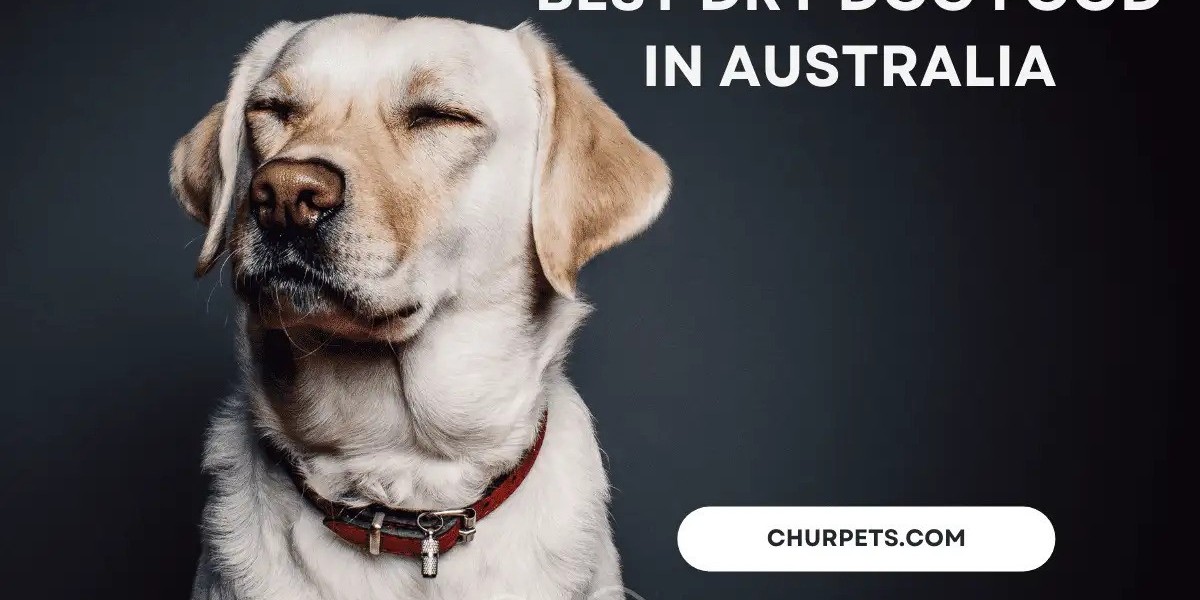 Top-Rated Dry Dog Foods in Australia: A Guide