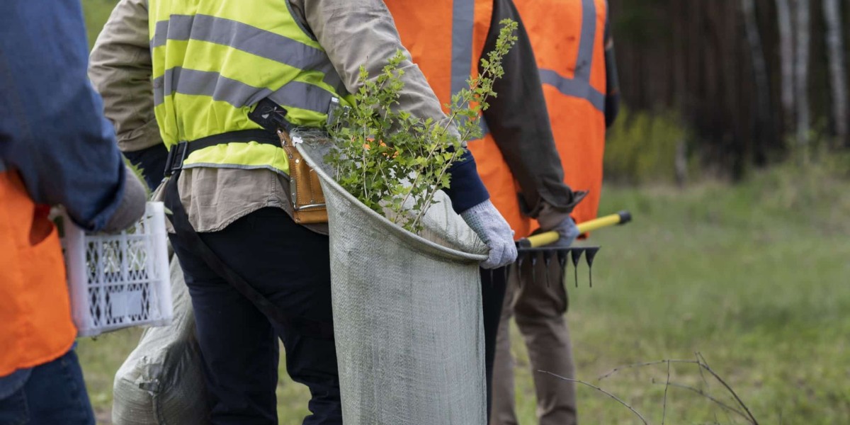 The Best Tree Stump Removal Service for Fast and Efficient Results