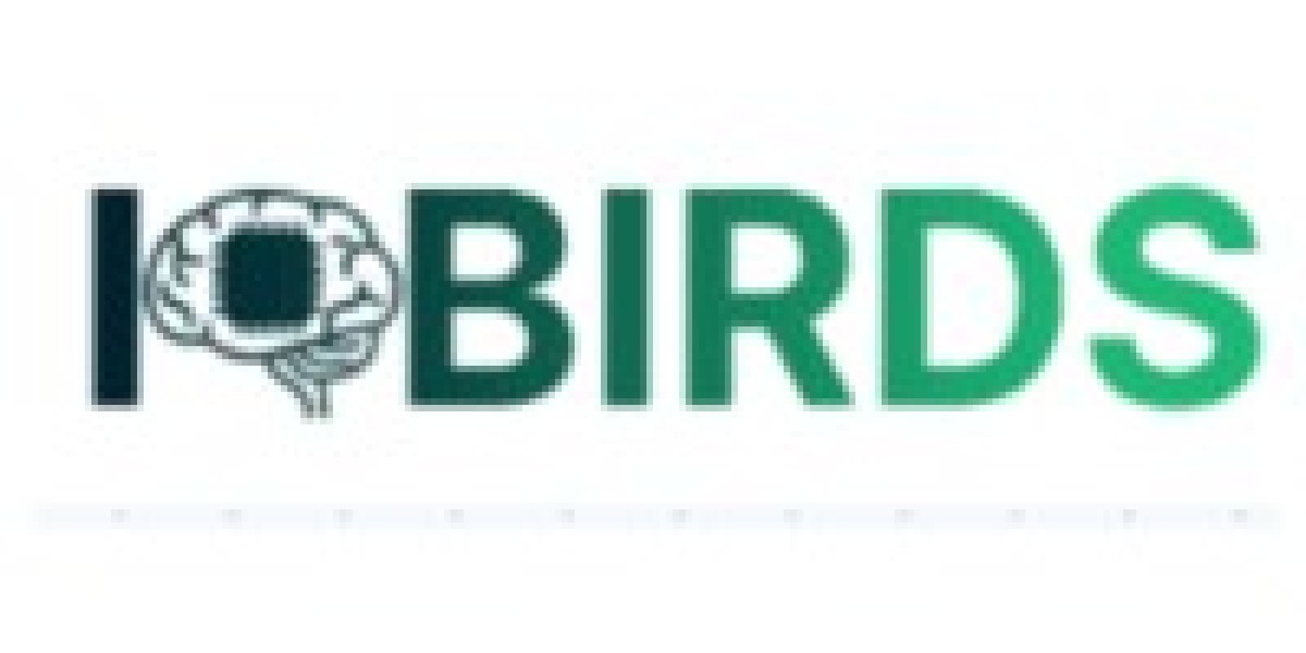 IQbirds: Driving Digital Success with Innovation