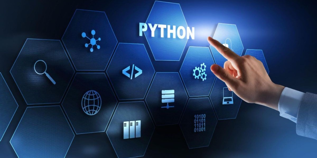 Python Development Company in New York: Your Ultimate Guide