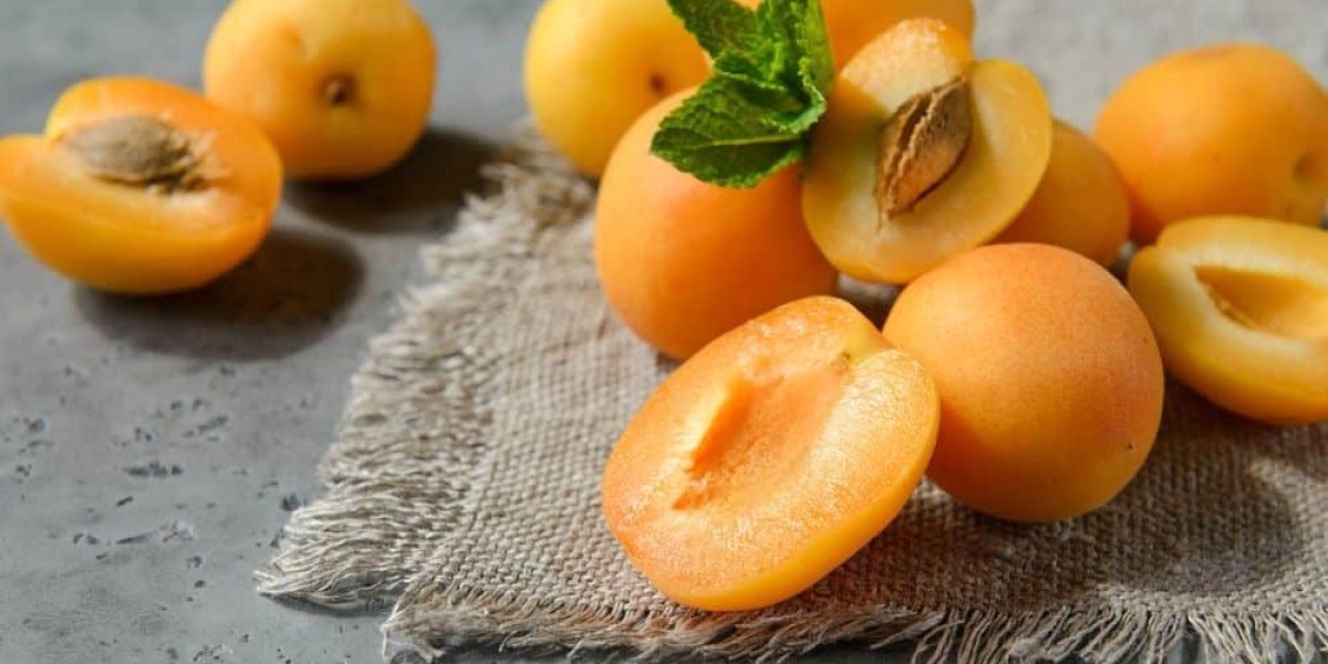 Keys to Running a Profitable Apricot Processing Plant Setup Report 2024: Cost Details