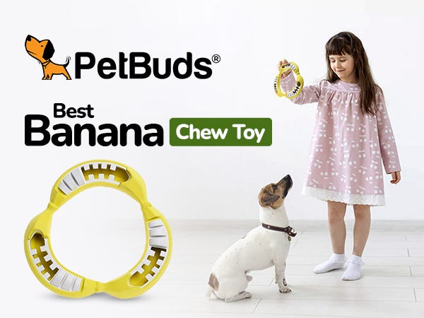 Dog Teething Toys: The Chew and Play Solution | by Petbuds - Your Pet's Best Friend in the UK | Jan, 2025 | Medium