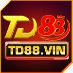 TD88 vin Profile Picture