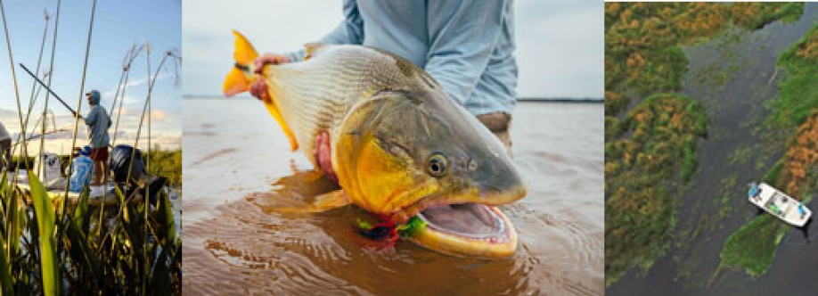 Fly Fishing Patagonia Cover Image