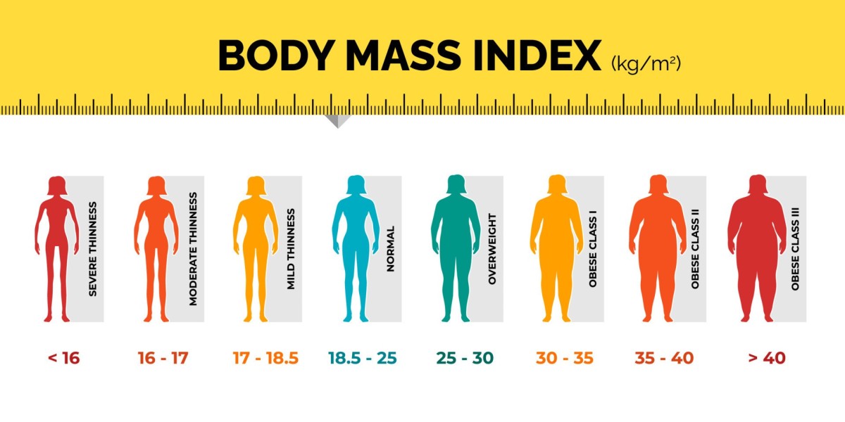 Understanding BMI Calculators: A Simple Tool for Health Assessment