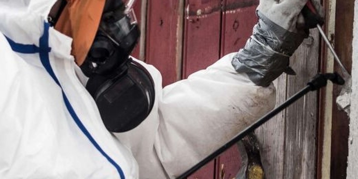 What Asbestos Inspectors Focus on During Asbestos Testing