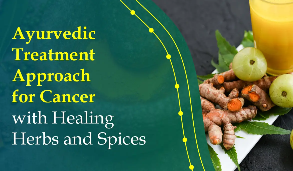 The Healing Touch of Ayurveda for Your Health Needs