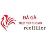 Đá Gà Trực Tiếp Thomo Hôm Nay Profile Picture