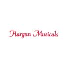 Hargun Musicals instruments shop Profile Picture