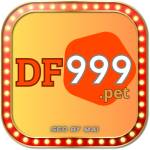 DF999 pet Profile Picture