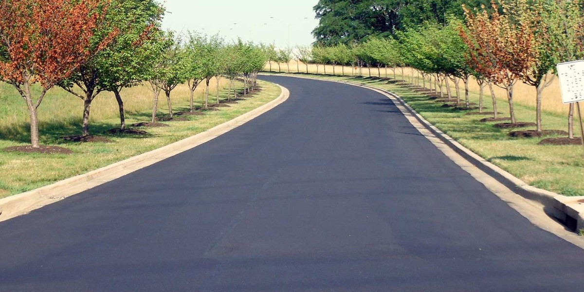 Driveway Paving Contractors Key Considerations for Successful Project