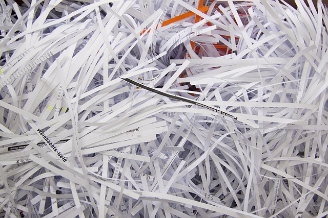 A Complete Guide to Paper Shredding for Houston Residents and Businesses – Data Shredding Services