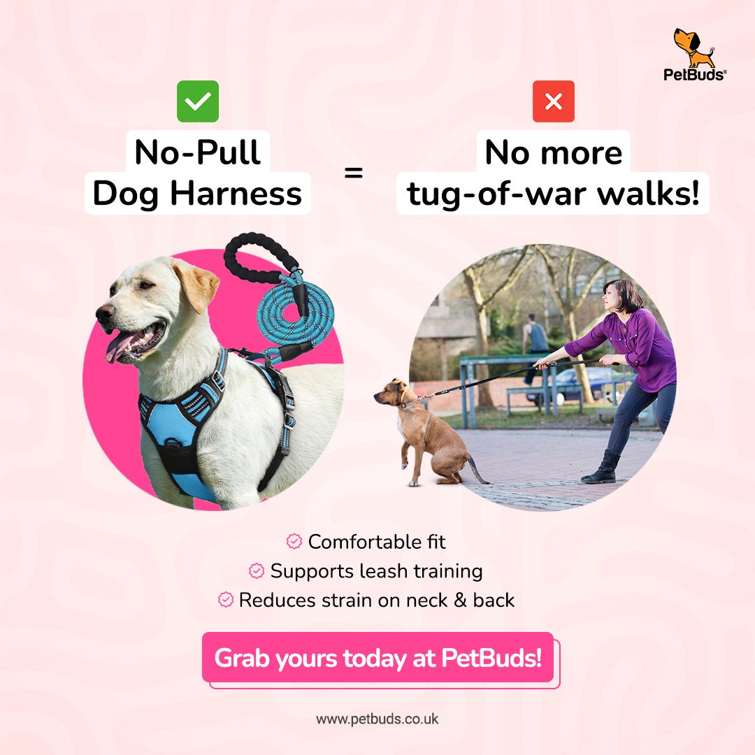 The Ultimate Guide to Choosing the Best Dog Harness and Leash for Your Pet | by Petbuds - Your Pet's Best Friend in the UK | Jan, 2025 | Medium