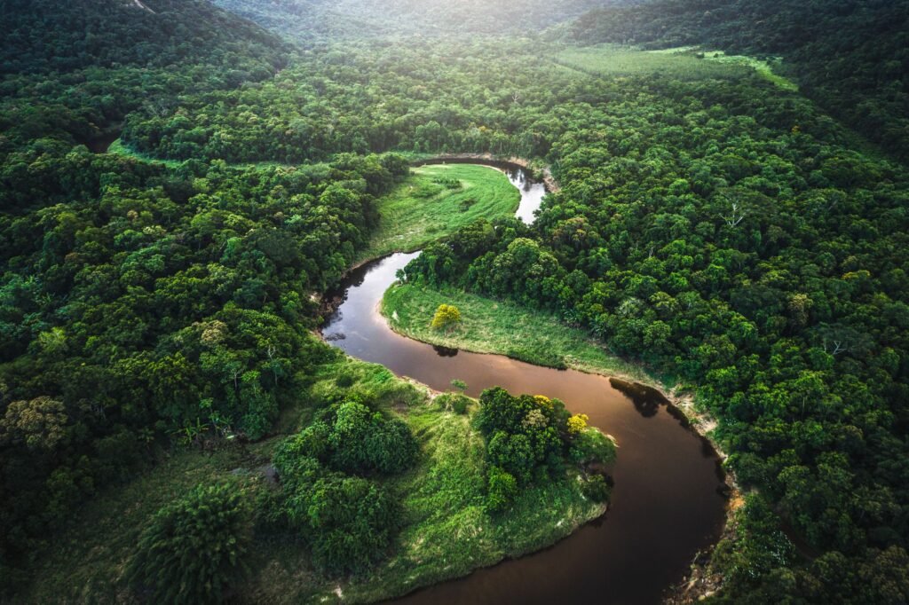 Ready for Rainforest Exploration Tours? Discover the Wild!