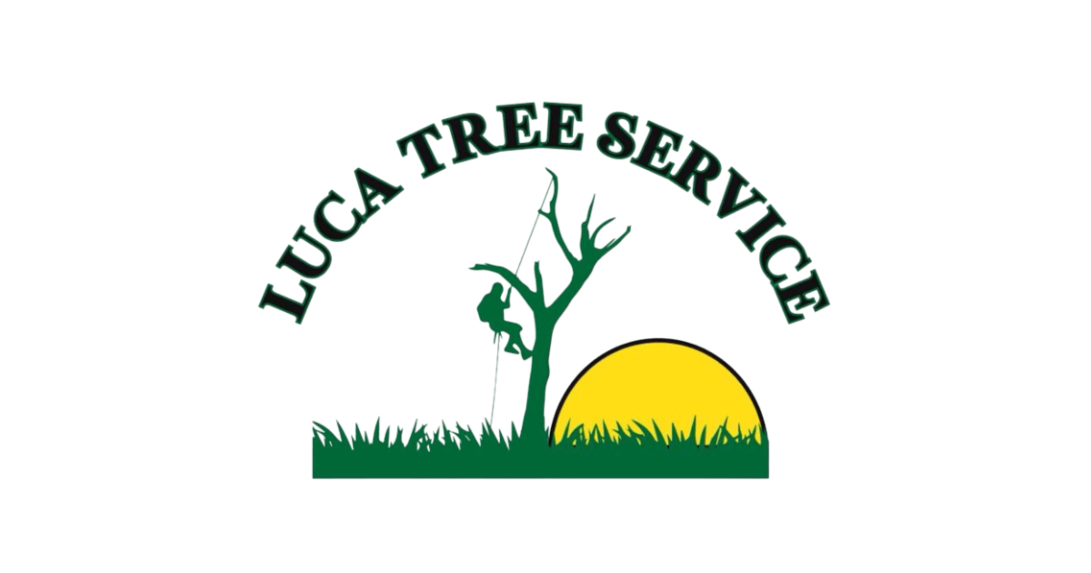 Luca Tree Service -Professional Tree Services in Peabody, MA