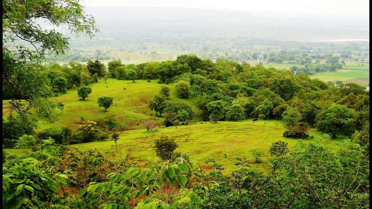 Ananthagiri Hills Tourist Places: A Serene Escape to Breathtaking Views and Tranquil Nature!