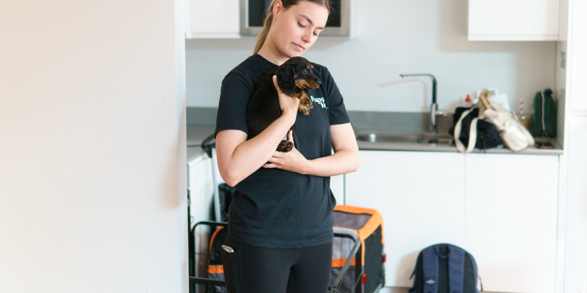 Pets Yoga for Improving Your Pet’s Physical Health & Flexibility