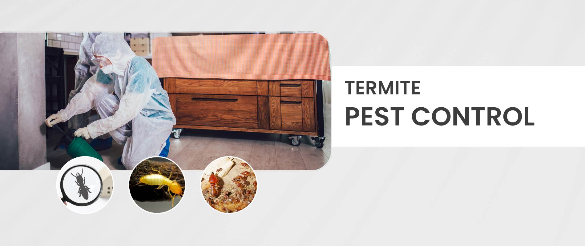 Top 10 Effective Termite Treatment Options to Protect Your Home - Pest Control