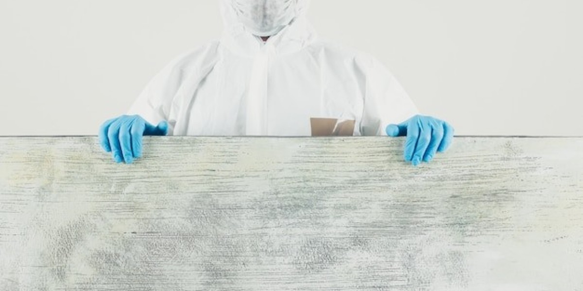 Understanding the Mold Testing Process: What Homeowners Need to Know