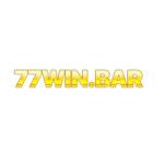 77winbar Profile Picture