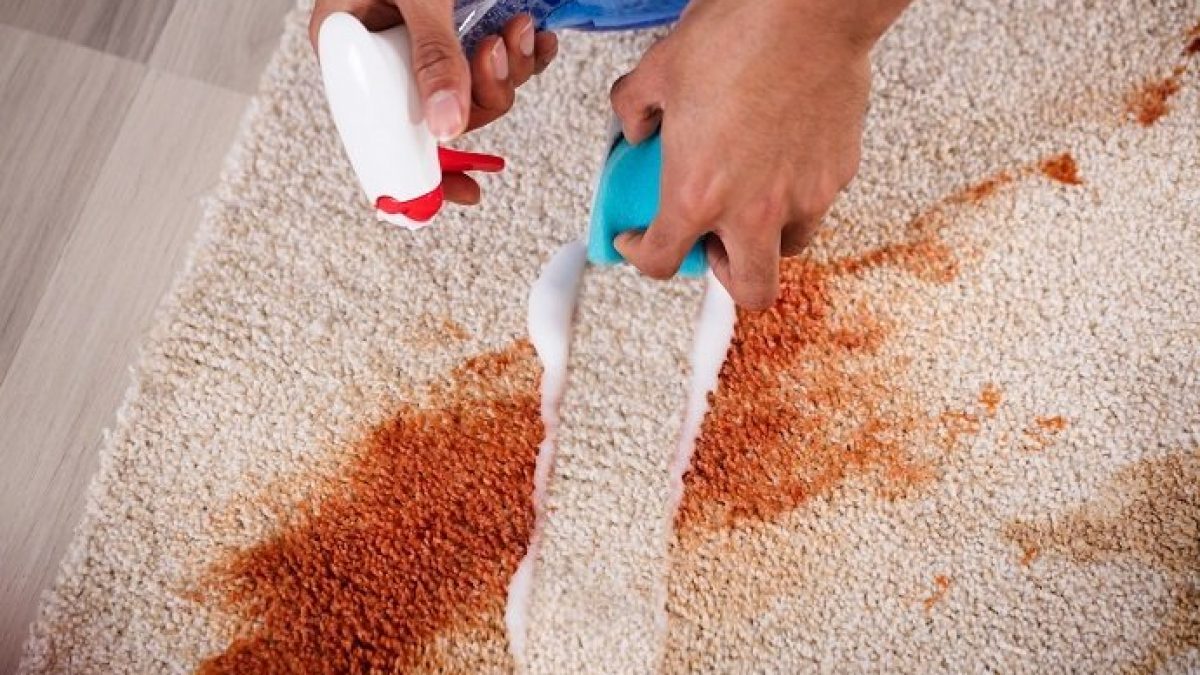 Carpet Stain Removal Made Easy: Tricks You Need to Know