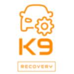 K9 Recovery Profile Picture