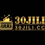 30jili ltd Profile Picture