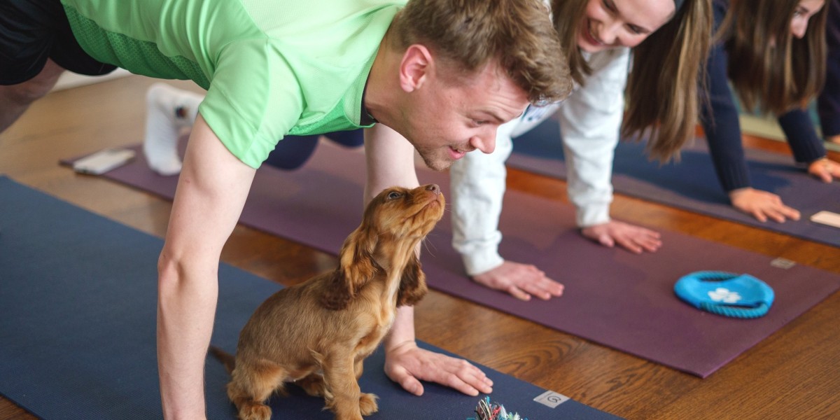 The Benefits of Puppy Yoga in Brighton for Your Dog’s Physical Health