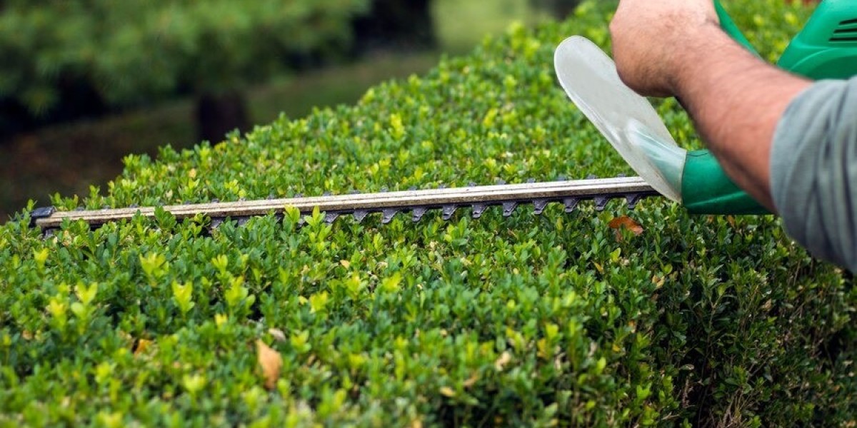 Premium & Expert Hedge Maintenance Services in Washington