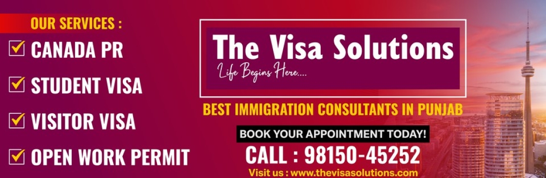 The Visa Solutions Cover Image