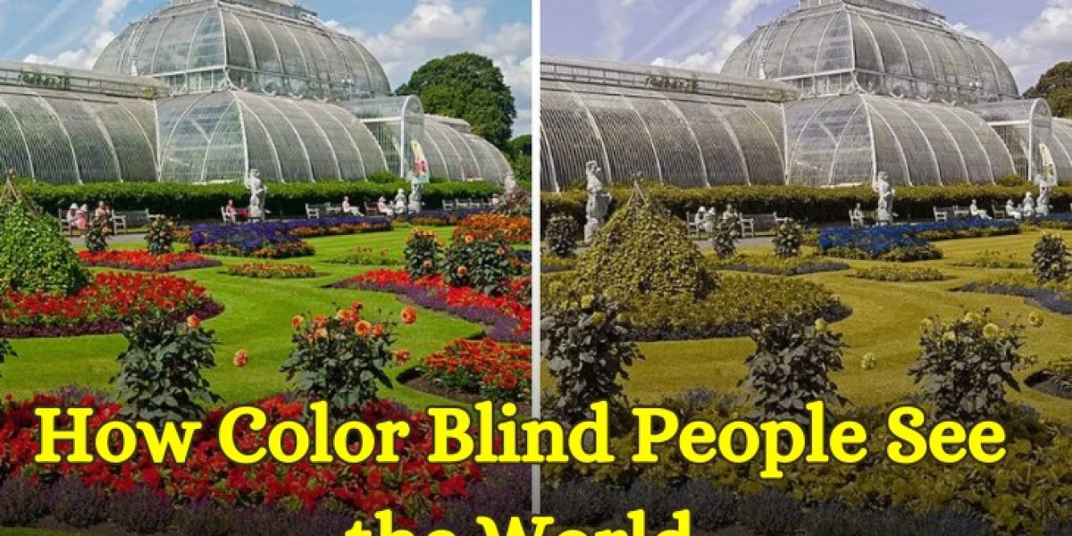 How Color Blind People See the World