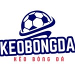 Kèo Bóng Đá Profile Picture