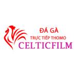 Đá Gà Trực Tiếp Thomo Profile Picture