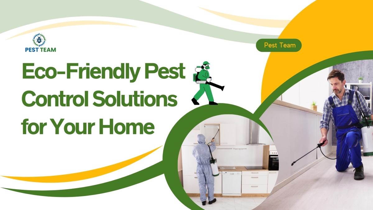 Eco-Friendly Pest Control Solutions for Your Home – Pest Control