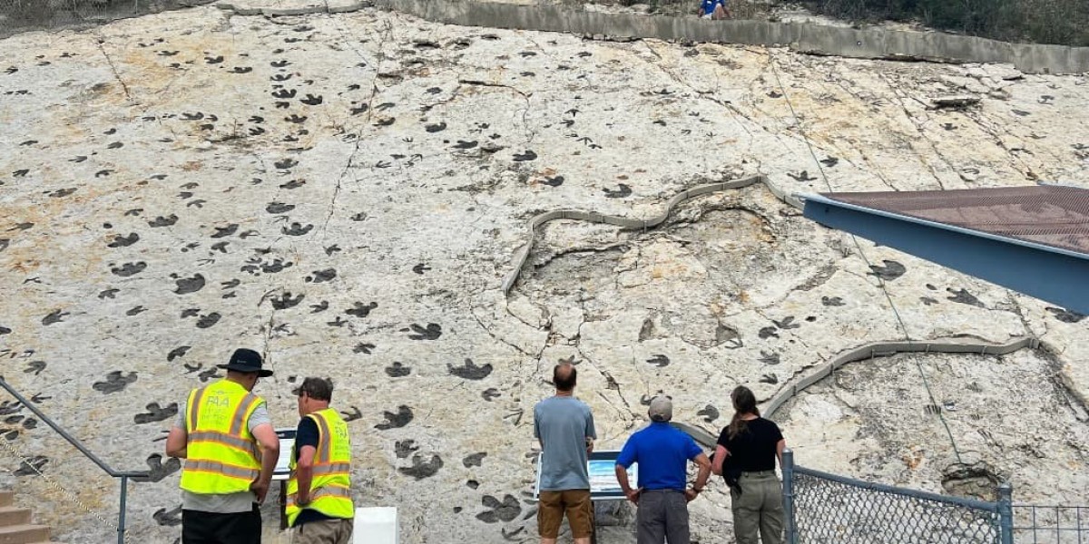 From Prehistoric Giants to Majestic Peaks: A Journey Through Dinosaur Ridge and the Peak to Peak Scenic Byway