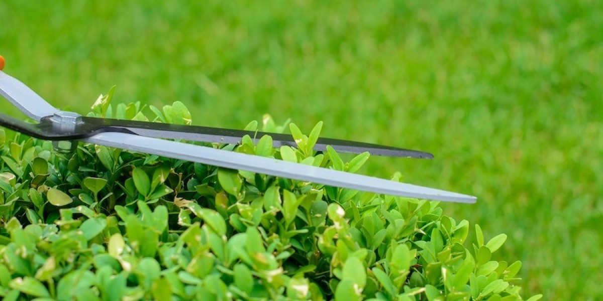 Superior Hedge Cutting in Bradford Experts